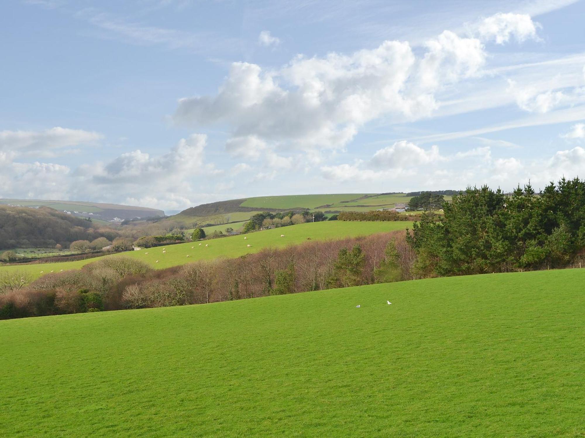 Merlin View St Mawgan Εξωτερικό φωτογραφία