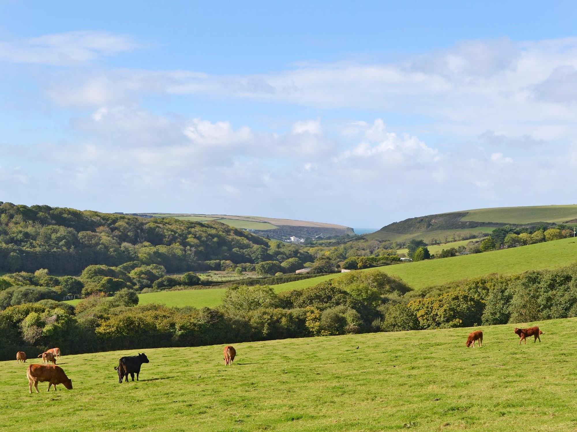 Merlin View St Mawgan Εξωτερικό φωτογραφία